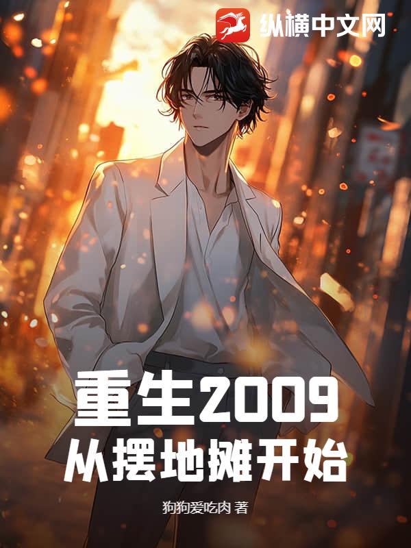 重生2009：从摆地摊开始